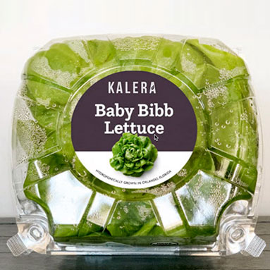 Baby Bibb Lettuce image